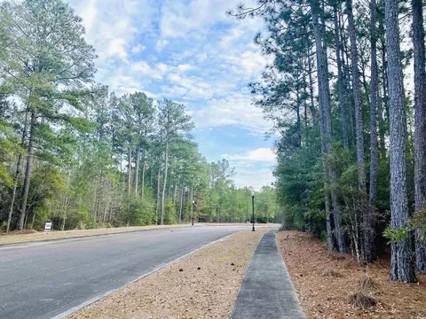 58 Pineberry Dr, Georgetown, SC 29440 photo 18