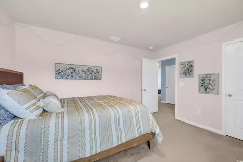 2524 Orion Loop, Myrtle Beach, SC 29577 photo 20
