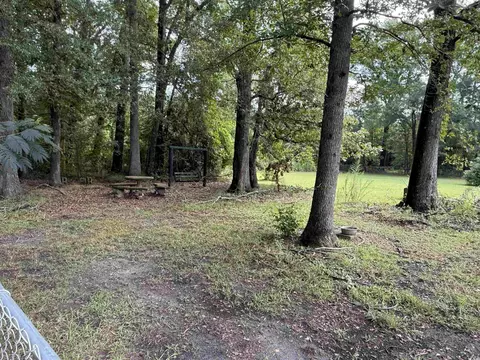407 E Williams Rd, Coward, SC 29530 photo 30
