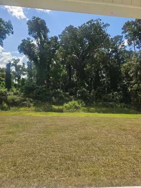 484 Honeyhill Loop, Conway, SC 29526 photo 15