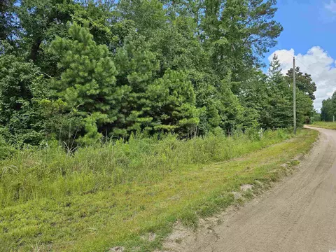 tbd 9 10 Powell Ln, Loris, SC 29569 photo 5