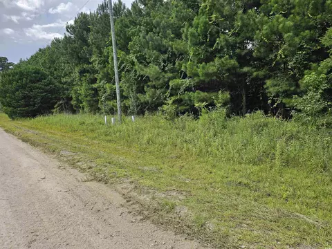 tbd 9 10 Powell Ln, Loris, SC 29569 photo 2