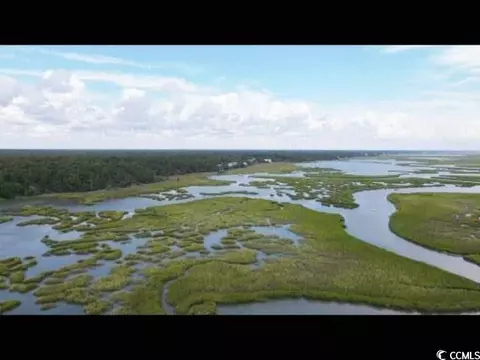 View/Area - 9 Saltwind Loop, Murrells Inlet, SC 29576 photo 2 of 2