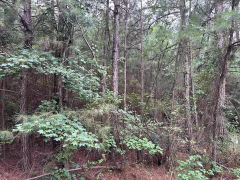 lot5 D Mcgregor St, Lake City, SC 29560