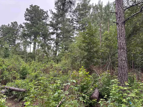 lot10 D Mcgregor St, Lake City, SC 29560
