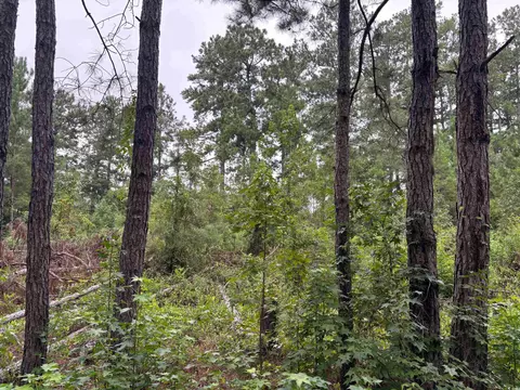 lot11 D Mcgregor St, Lake City, SC 29560