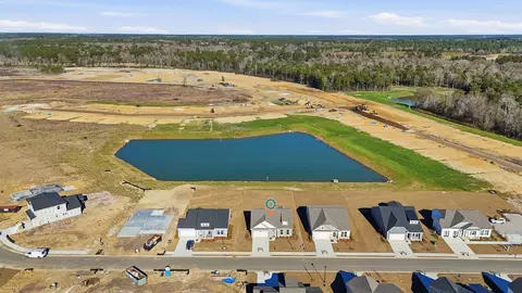 View/Area - 150 River Birch Dr, Loris, SC 29569 photo 3 of 5
