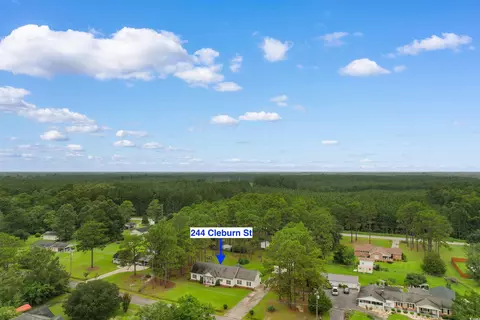 View/Area - 244 Cleburn St, Georgetown, SC 29440 photo 2 of 3