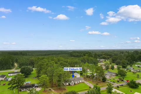 View/Area - 244 Cleburn St, Georgetown, SC 29440 photo 3 of 3