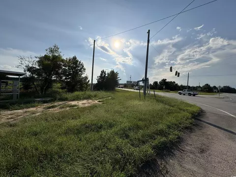 tbd Highway 521, Greeleyville, SC 29056