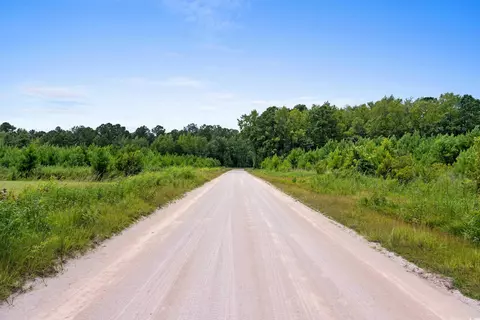 tbd Ebenezer Rd, Conway, SC 29527 photo 18