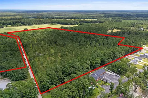 tbd Ebenezer Rd, Conway, SC 29527 photo 10