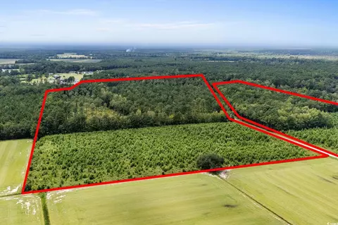 tbd Ebenezer Rd, Conway, SC 29527 photo 13