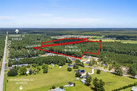 tbd Ebenezer Rd, Conway, SC 29527 photo 9
