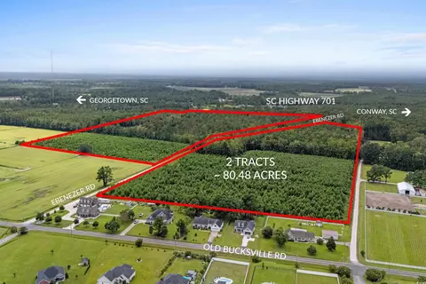 tbd Ebenezer Rd, Conway, SC 29527 photo 2