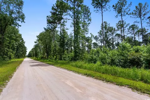 tbd Ebenezer Rd, Conway, SC 29527 photo 16