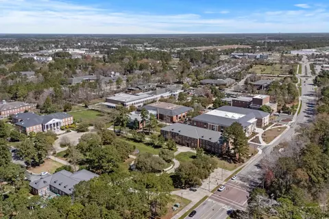 tbd Ebenezer Rd, Conway, SC 29527 photo 33