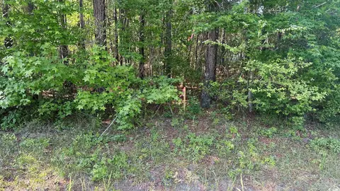 0 Dossie Rd, Conway, SC 29526 photo 11