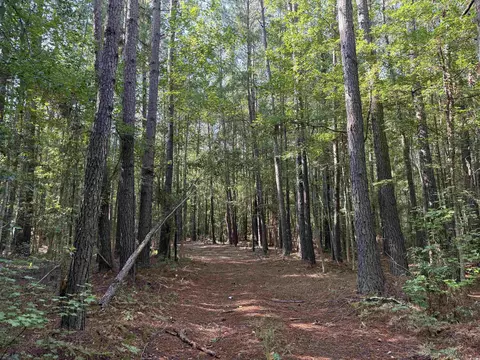 33 5acres-tbd Union Church Rd, Salters, SC 29590