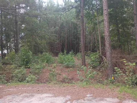 lot12 D Mcgregor St, Lake City, SC 29560