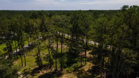 3598 Steamer Trace Rd, Conway, SC 29527 photo 7