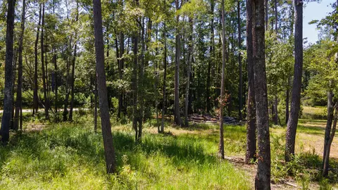3598 Steamer Trace Rd, Conway, SC 29527 photo 16