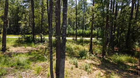 3598 Steamer Trace Rd, Conway, SC 29527 photo 19
