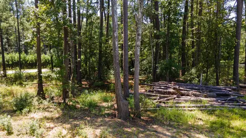 3598 Steamer Trace Rd, Conway, SC 29527 photo 14