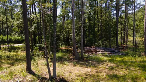 3598 Steamer Trace Rd, Conway, SC 29527 photo 9