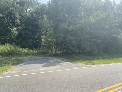 tbd Long Branch Swamp Rd, Green Sea, SC 29545