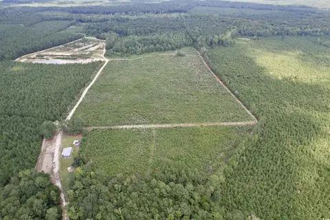97 83acres-tbd Sugar Hill Fox Rd, Pamplico, SC 29583
