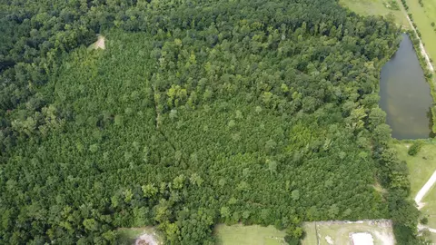 tbd Lonzy Ln, Conway, SC 29526