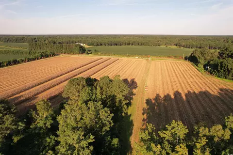 61 77acres-tbd Marion Church Rd, Salters, SC 29590