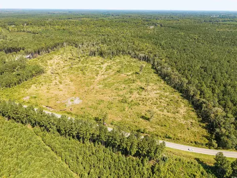 tbd Pitch Landing Rd, Conway, SC 29527