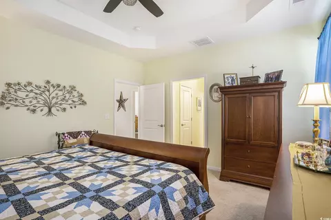795 Hackberry Way, Longs, SC 29568 photo 11