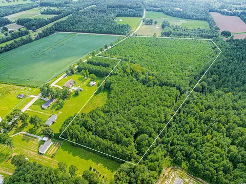 tbd Joy Rd, Hemingway, SC 29554 photo 9