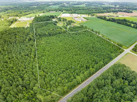 tbd Joy Rd, Hemingway, SC 29554 photo 8