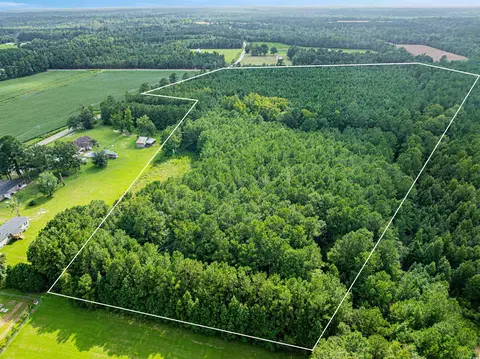 tbd Joy Rd, Hemingway, SC 29554 photo 5