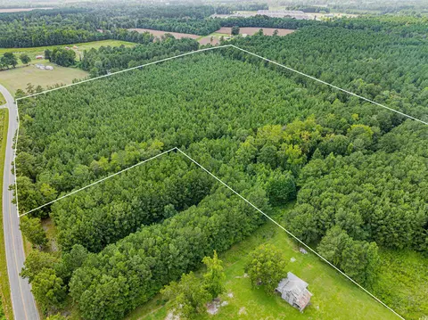 tbd Joy Rd, Hemingway, SC 29554 photo 13
