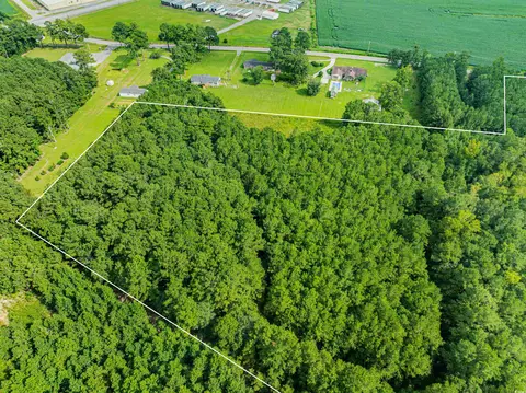 tbd Joy Rd, Hemingway, SC 29554 photo 2