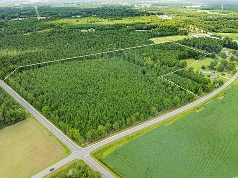 tbd Joy Rd, Hemingway, SC 29554