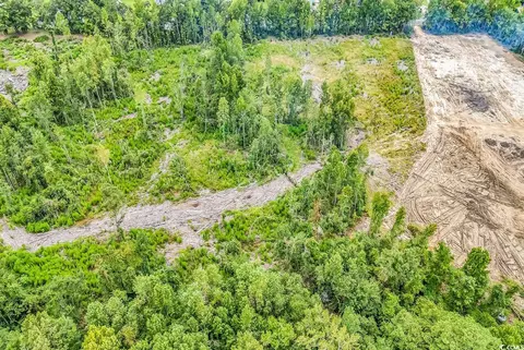 lot2 Kellys Cove Dr, Conway, SC 29526 photo 16