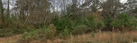 2940 Red Bluff Rd, Loris, SC 29569 photo 11