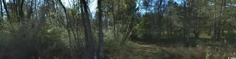 2940 Red Bluff Rd, Loris, SC 29569 photo 7