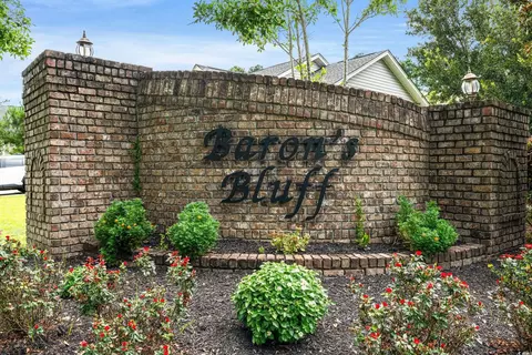 Other - 128 Barons Bluff Dr, Conway, SC 29526 photo 8 of 8