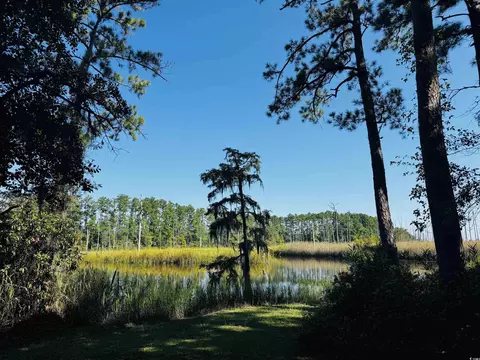 View/Area - 74 Blueberry Ln, Georgetown, SC 29440 photo 5 of 7