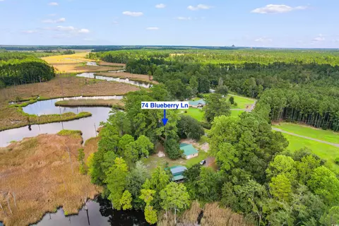 View/Area - 74 Blueberry Ln, Georgetown, SC 29440 photo 2 of 7