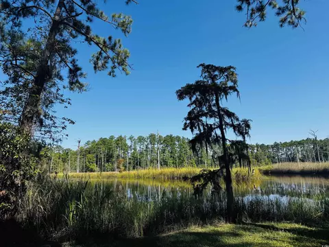 View/Area - 74 Blueberry Ln, Georgetown, SC 29440 photo 4 of 7
