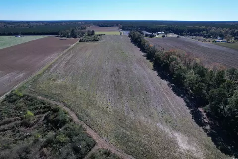 52 Acres-tbd Vox Hwy, Lake City, SC 29560