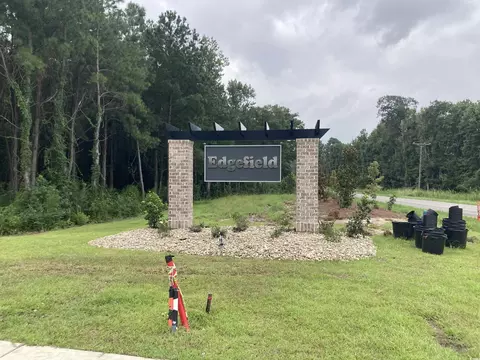 Other - 137 River Birch Dr, Loris, SC 29569 photo 1 of 4